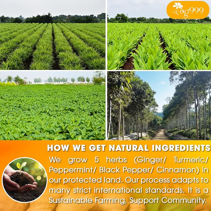 60 Tea Bags - Anti-Inflammaherb Loose Leaf Tea, 100% Natural from Ginger, Turmeric, Peppermint, Black Pepper, Cinnamon. Made with Natural Material Tea Bags. No Sugar, No Caffeine, No Gluten, Vegan.