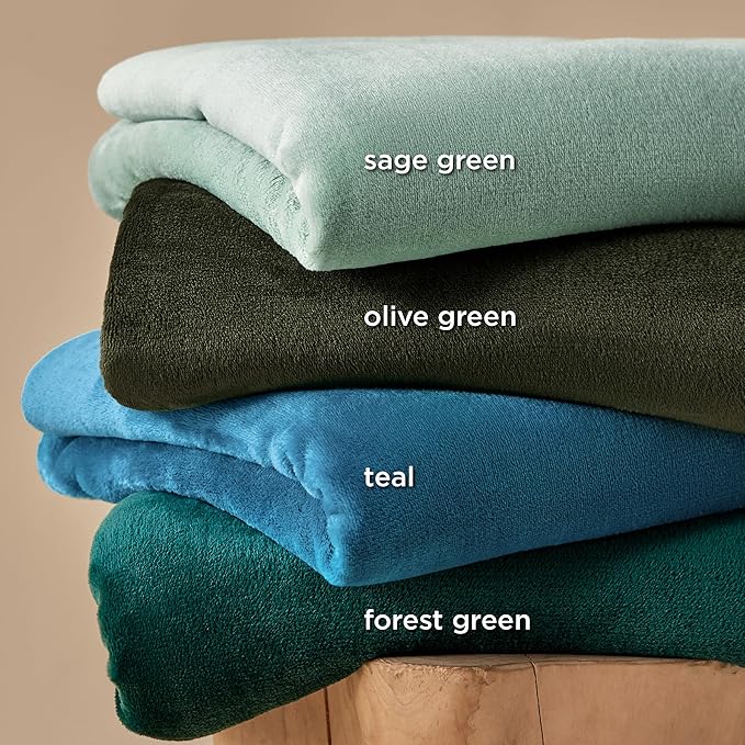 Bedsure GentleSoft Sage Green Fleece Blankets Queen Size - 280GSM Soft Lightweight Plush Cozy Blanket for Bed, Sofa, Couch, Travel, Camping