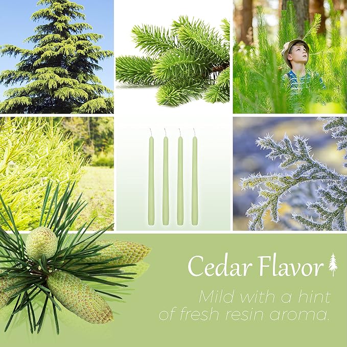 Cedar Scented Taper Candles 10'' Colored Candle Sticks Green Candles Set of 4 | Home Decor Kitchen Decor Wedding Decorations Candles
