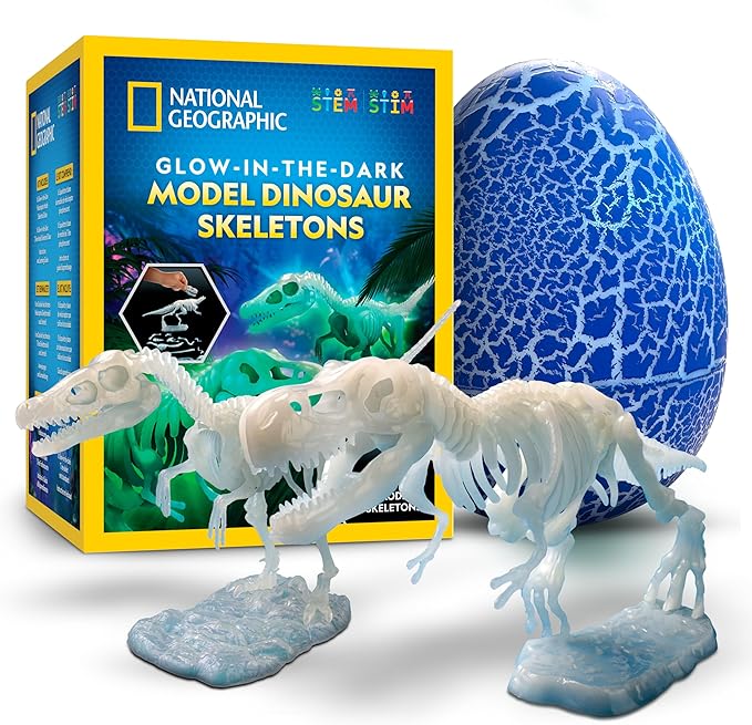 National Geographic Glow-in-The-Dark Dinosaur Skeleton Model Building Kit – Build Replica Velociraptor & T. rex Skeletons, Educational Dinosaur Egg Activity Kit for Kids, Easter Basket Stuffers