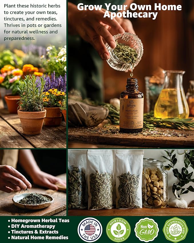 Medicinal & Tea Herb Seeds for Planting - 35 Non-GMO Variety Pack for Indoor/Outdoor Garden: Anise, Bergamot, Borage, Fennel, Chamomile, Dandelion, Oregano, Hyssop, Catnip Seeds & More