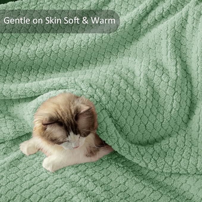 Exclusivo Mezcla Soft Fleece Twin Size Blanket for Bed, Sage Green | Jacquard Lightweight Cozy Bed Blanket, Breathable Decorative Fuzzy Textured All Season Use, 60x80 Inches