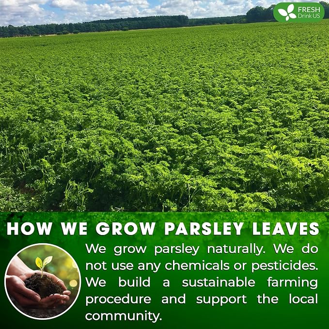 FreshDrinkUS, Premium 35 Parsley Leaf Tea Bags, 100% Natural & Pure from Parsley Leaves. Loose Leaf Parsley Herbal Tea. Made with Natural Material Tea Bags. No Sugar, No Caffeine, No Gluten, Vegan.