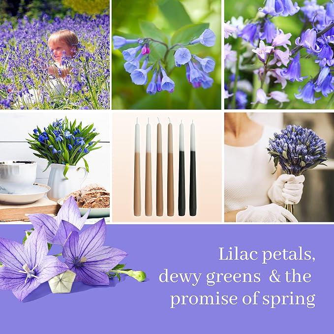 6 PCS Scented Taper Candlesticks 10 Inch Bluebell Scented Candle Aromatherapy Candles Gift Set Gradient Colored Candles for Home Decor Kitchen Decor Wedding Decorations