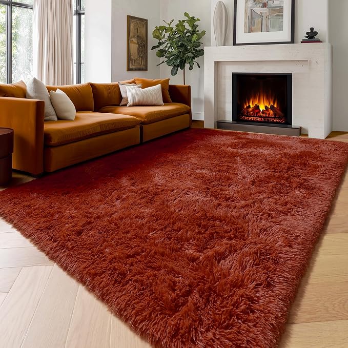 Amdrebio Terracotta Rust Area Rugs for Bedroom Living Room, Fluffy Shaggy Furry Fuzzy Rug 5x8 for Kids Room Decor Aesthetic, Modern Cute Plush Shag Rustic Carpet for Nursery Dorm Classroom Playroom