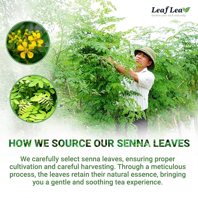 LeafLea Senna Tea Bags, Laxative Tea & Digestive Cleanse, 120 Ct, 3 Boxes | 100% Senna Leaves, Caffeine-Free, Sugar-Free, Gluten-Free, Non-GMO, Vegan, Individually Foil-Wrapped, Family Bulk