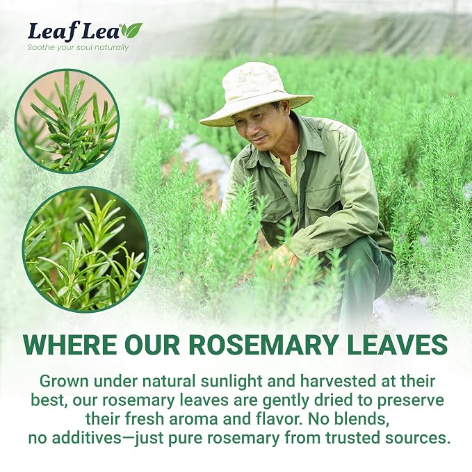 LeafLea Rosemary Tea Bags, Pure Rosemary Leaf Herbal Tea, Caffeine-Free | Te De Romero with a Soothing, Earthy Taste, Individually Foil-Wrapped for Freshness, Sugar-Free, Non-GMO, 40 Tea Bags