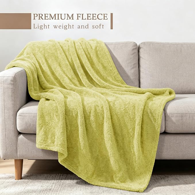 Exclusivo Mezcla Fleece Throw Blanket for Couch and Sofa, 50" x 60" | Super Soft and Cozy Fluffy Blanket for Women, Lightweight and Fuzzy Throw for Home Decor, All Season, Light Green