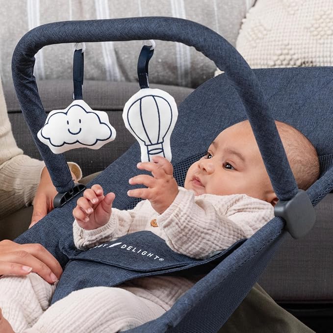 Baby Delight Alpine Deluxe Portable Bouncer, Infant, 0 – 6 Months, Quilted Indigo