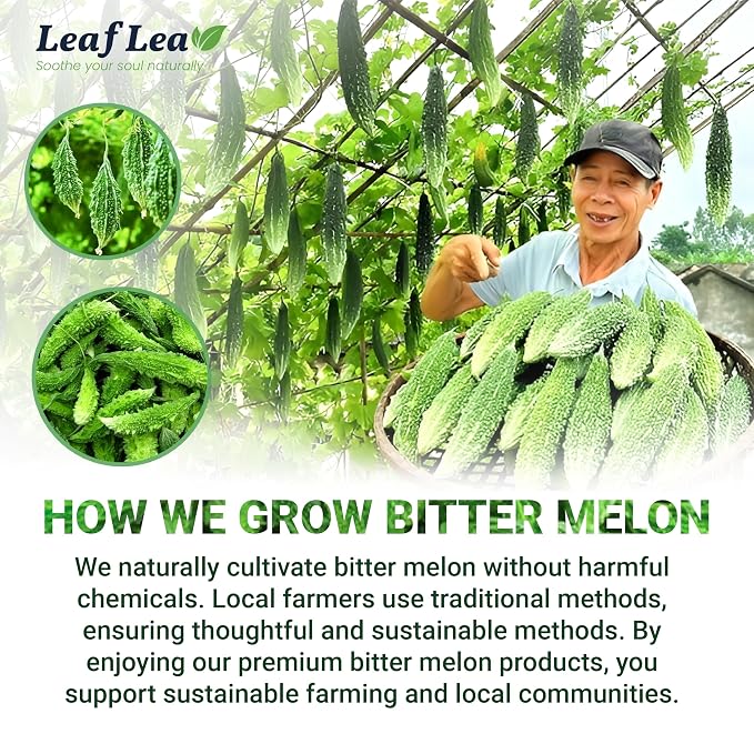 LeafLea Bitter Melon Tea Bags, Cerasee Momordica Charantia Tea, 120 Count | Natural Cundiamor Bitter Gourd Herbal Tea, Caffeine-Free, Sugar-Free, Vegan, Value Pack of 3 for Family