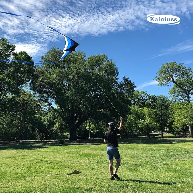 Delta Kite for Kids & Adults - Easy to Fly Large Single Line Beach Kite with 300ft String Handle Included, Perfect for Beginners, Teens