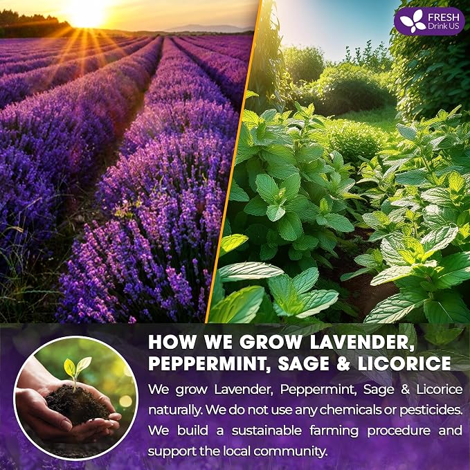 FreshDrinkUS, Premium 75 Tea Bags Lavender Mint Tea, 100% Natural, Blend of Lavender, Peppermint, Sage and Licorice. Made with Natural Material Tea Bags. No Sugar, No Caffeine, Vegan.