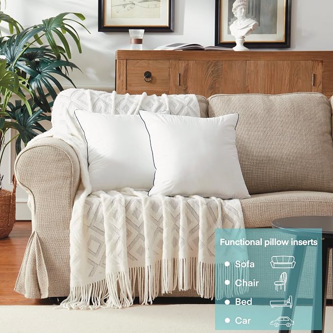 22x22 Inch Pillow Inserts Set of 2-100% Cotton Cover, Square Decorative Throw Pillows for Couch, Sofa, Chair, or Bed (2 Pack, 22x22 Inch) | 100% Premium Polyester Fill, Fluffy & Soft with Comfy Support - White Decorative Cushion Inserts for Couch, Sofa...