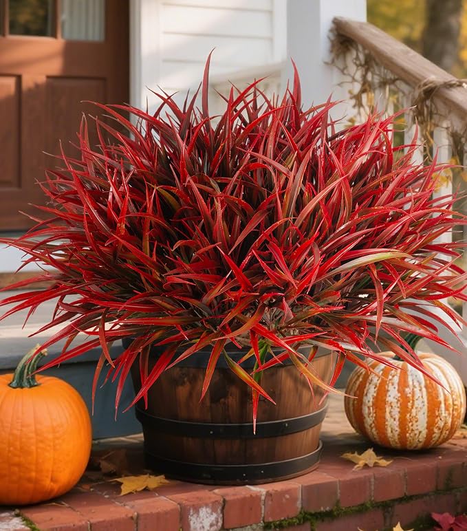 Ivydale 12Pcs Artificial Plants Outdoor Fake Plastic Grass Fall Decoration UV Resistant Faux Greenery Stems Bushes Outside Fake Plants for Planters Patio Porch Window Garden Home Decor