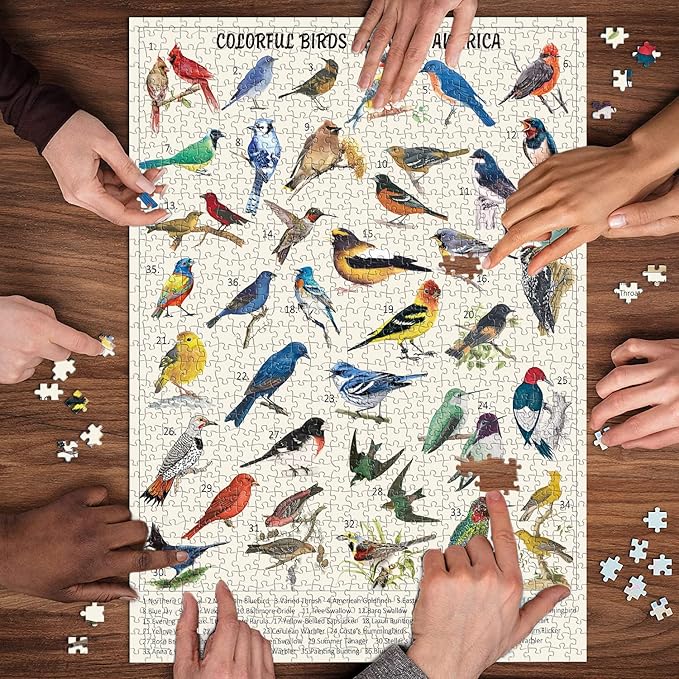 Vintage Bird Puzzles for Adults 1000 Pieces, Animal Hummingbird Puzzle of 36 Colorful Birds in North America, Bird Jigsaw Puzzles Nature