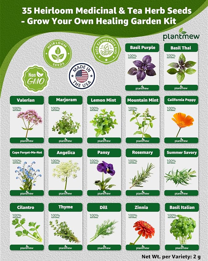 Medicinal & Tea Herb Seeds for Planting - 35 Non-GMO Variety Pack for Indoor/Outdoor Garden: Anise, Bergamot, Borage, Fennel, Chamomile, Dandelion, Oregano, Hyssop, Catnip Seeds & More