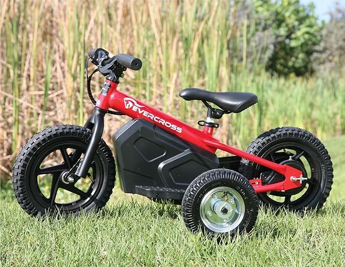 Hardline Products USA Wheels for Tots Training Wheels (Evercross EV06M)