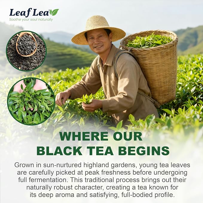 LeafLea Black Tea Bags, Strong Full-Bodied Black Tea Leaves, 40 Count | Bold, Naturally Caffeinated Morning Brew with Smooth Malty Finish; Sugar-Free, Vegan; Individually Foil-Wrapped