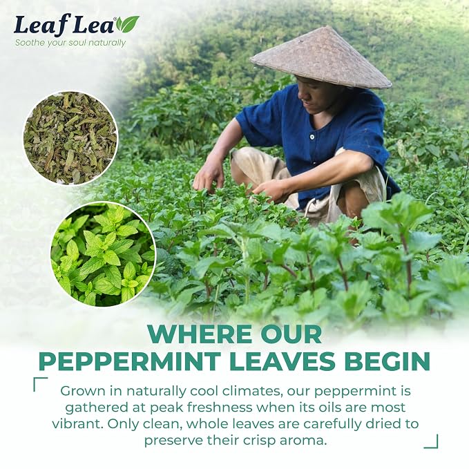 LeafLea Peppermint Tea Bags, Pure Peppermint Leaf Tea, 80 Count, 2-Pack | Real Mint Tea Bags With Smooth, Cooling Flavor, Caffeine-Free, Vegan, Individually Foil-Wrapped, Great To Share