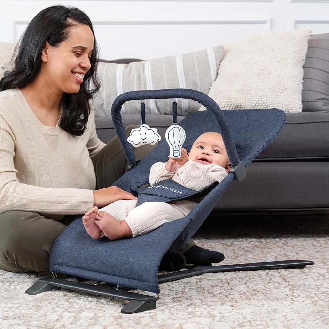Baby Delight Alpine Deluxe Portable Bouncer, Infant, 0 – 6 Months, Quilted Indigo