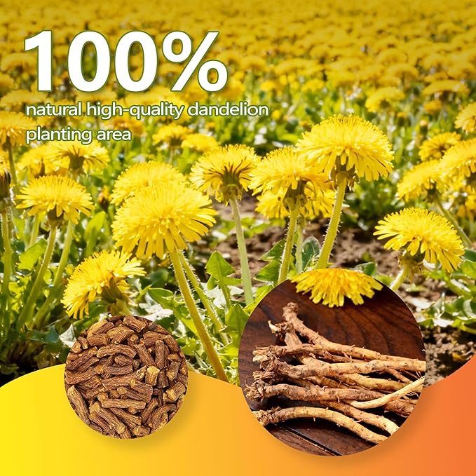 Dandelion Leaf & Root Herbal Tea Bags, 60 Count | Caffeine-Free