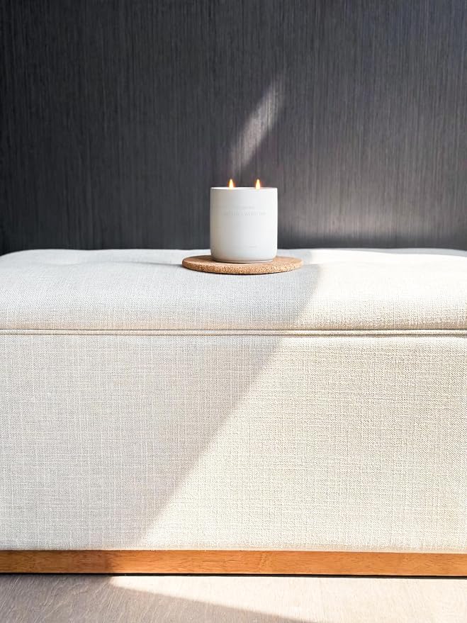 WHOLESOME. Lemongrass Scented Non-Toxic Candles for Home, 2 Wicks Natural Coconut Wax Candle Eco-Friendly, Luxury Aromatherapy Candles Stress Relief, 16 oz Large Concrete Jar, 90 Hours Burn