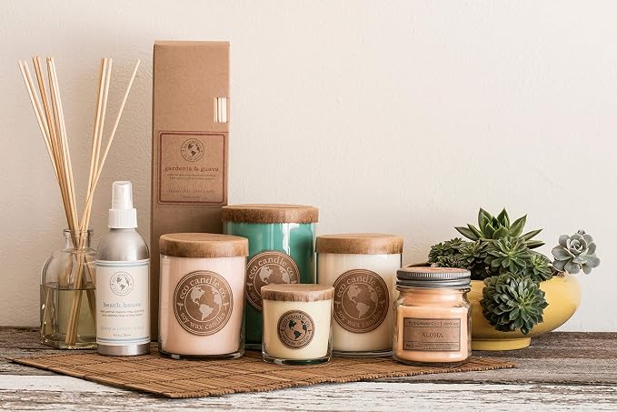 Eco Candle Co. Sunshower Tea Light Candles, 10-Pack, 9 Hr Burn Time | Scents of Citrus & Musk - Recyclable Plastic Cups, No Lead, Hand Poured, Made from Midwest Grown Soybeans, .6 oz. Each
