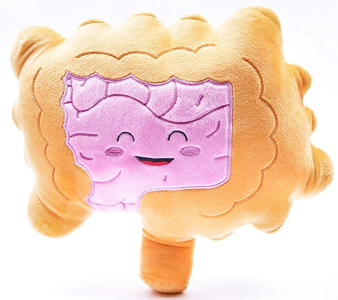 nerdbugs Intestine Plush- Colon/Intestine Stuffed Organ Stuffie for IBS, Colitis, Crohns & GI Support Plush/Health Education and Surgery Present/Gastroenterology Get Well Gift