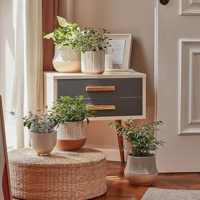 LA JOLIE MUSE Ceramic Plant Pots, Flower Pots for Indoor Plants, Set of 2 | 6.7+5.1 Inch Boho Decorative Footed Planter Pot with Drainage Hole for Indoor Plants, Living Room, Bedroom, Home Decor