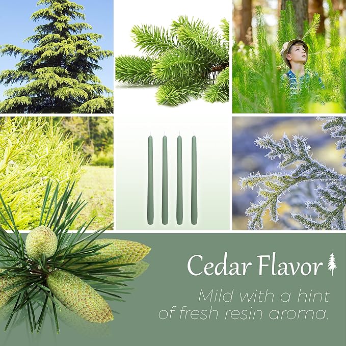 Green Taper Candle 10 inch - Set of 4 Tapered Candles Ideal as Dinner Candles - Cedar Scented Taper Candles Smokeless Long Burning Tall Candlesticks