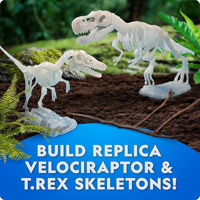 National Geographic Glow-in-The-Dark Dinosaur Skeleton Model Building Kit – Build Replica Velociraptor & T. rex Skeletons, Educational Dinosaur Egg Activity Kit for Kids, Easter Basket Stuffers