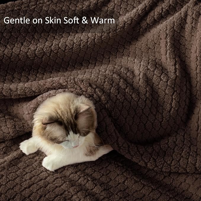 Exclusivo Mezcla Soft Fleece Throw Blanket for Couch, Coffee | Jacquard Lightweight Cozy Throws for Bed, Sofa, Breathable Decorative Fuzzy Textured All Season Use, 50x60 Inches