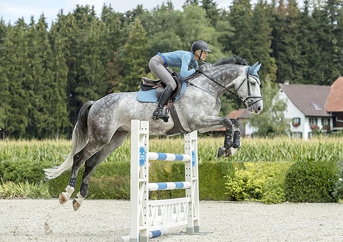 LeMieux Classic Ear Bonnet