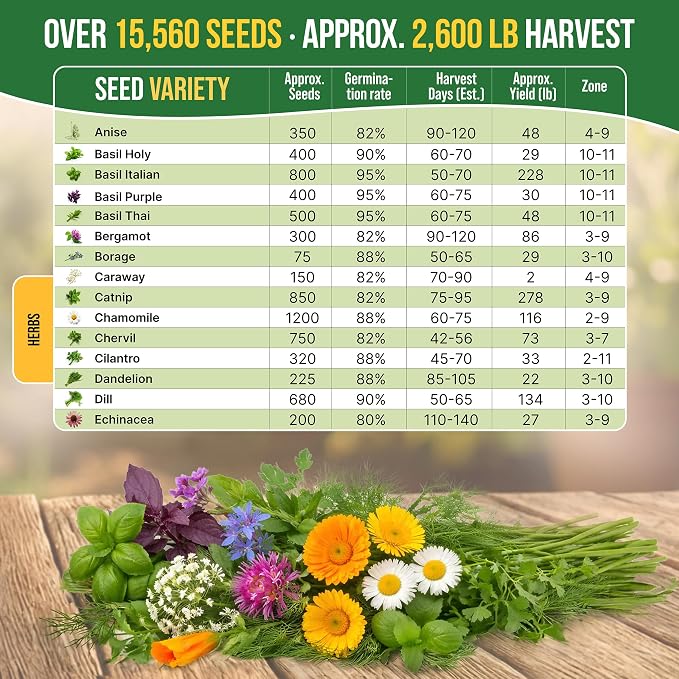 Organo Republic 30 Medicinal & Tea Herb Seeds Variety Pack 15,560+ Non-GMO Heirloom Garden Seeds for Indoor & Outdoors, Including Anise, Bergamot, Borage, Cilantro, Chamomile, Dandelion Seeds
