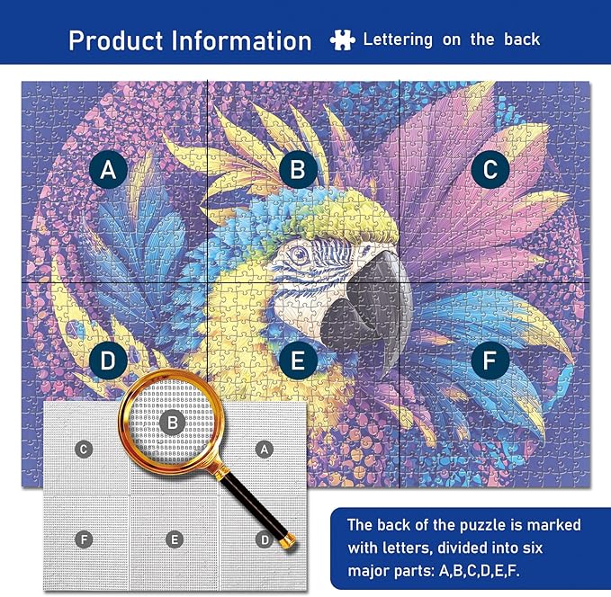 1000 Piece Jigsaw Puzzle for Adults - Colorful Macaw Parrot Art, Tropical Bird Puzzle with Vibrant Blue Yellow Purple Feathers