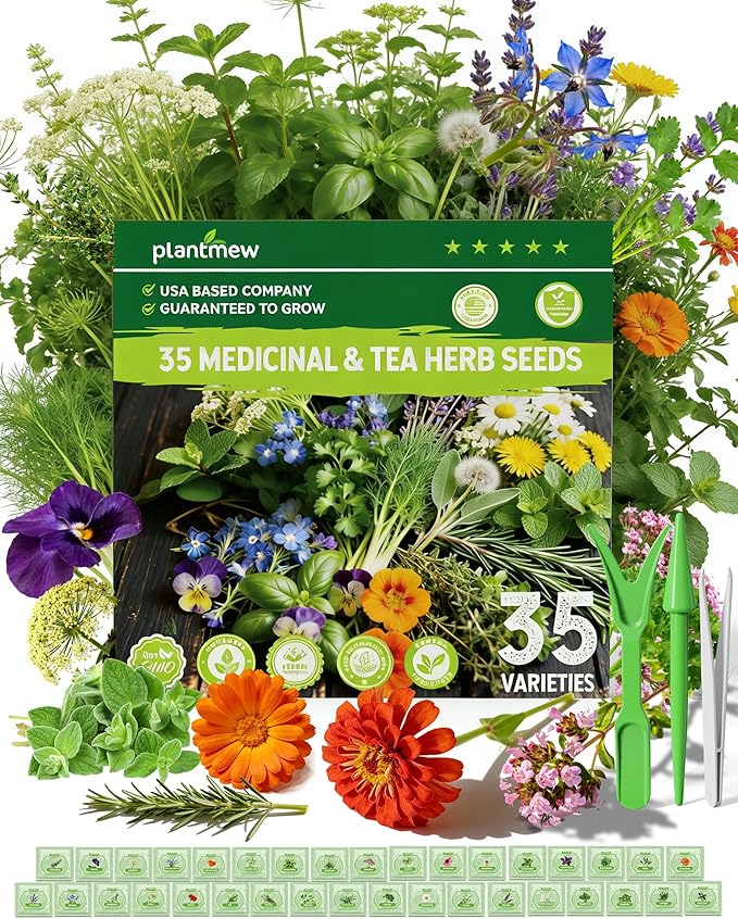 Medicinal & Tea Herb Seeds for Planting - 35 Non-GMO Variety Pack for Indoor/Outdoor Garden: Anise, Bergamot, Borage, Fennel, Chamomile, Dandelion, Oregano, Hyssop, Catnip Seeds & More