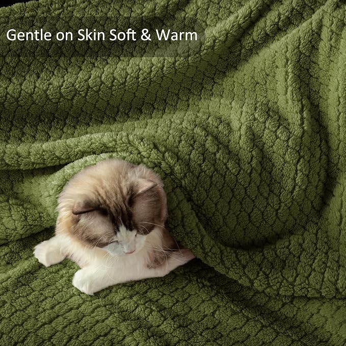 Exclusivo Mezcla Soft Fleece Queen Size Blanket for Bed, Olive Green | Jacquard Lightweight Cozy Bed Blanket, Breathable Decorative Fuzzy Textured All Season Use, 90x90 Inches