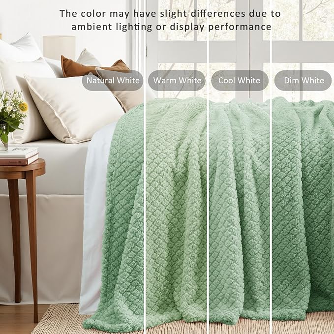 Exclusivo Mezcla Soft Fleece Throw Blanket for Couch, Sage Green | Jacquard Lightweight Cozy Throws for Bed, Sofa, Breathable Decorative Fuzzy Textured All Season Use, 50x60 Inches