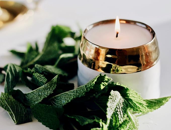 Hyggelight - The Growing Candle, Lemongrass Scented, 10oz Ceramic Pot, Single Wick Aromatherapy Candles, 100% Soy for Women and Men, Clara