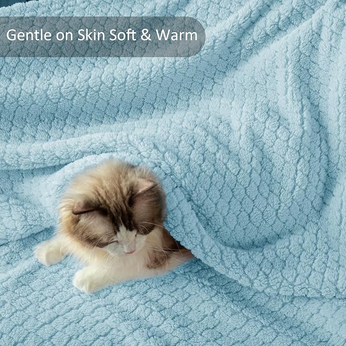 Exclusivo Mezcla Soft Fleece Twin Size Blanket for Bed, Light Blue | Jacquard Lightweight Cozy Bed Blanket, Breathable Decorative Fuzzy Textured All Season Use, 60x80 Inches