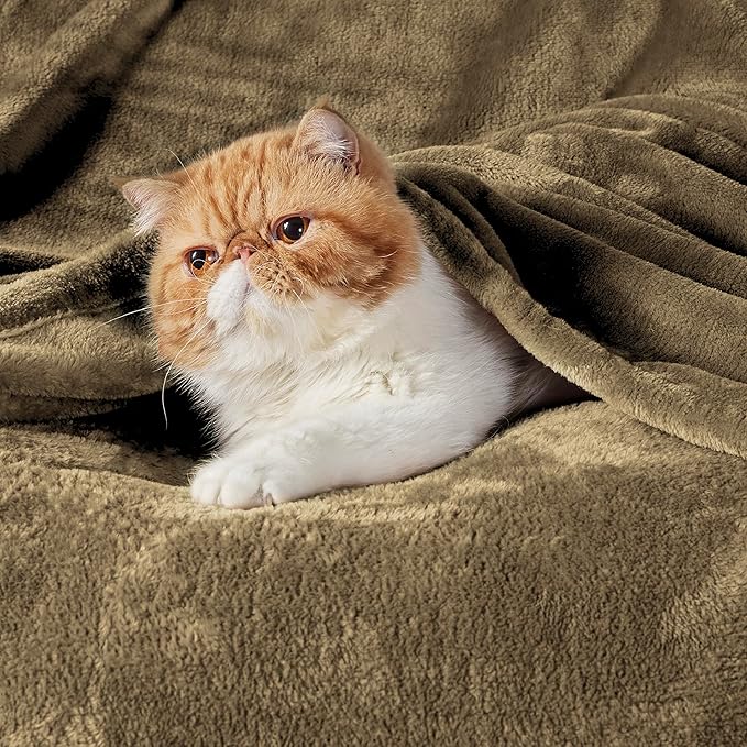 Bedsure GentleSoft Fleece Blanket Twin Size Camel - 300GSM Lightweight Plush Fuzzy Cozy Soft Warm Blanket for Bed, Sofa, Couch, Travel, Camping, 60x80 inches