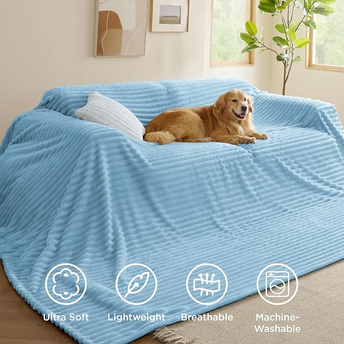 Bedsure Soft Large Fleece Blanket for Bed Light Blue 120"x120" | Birthday Gifts for Women Mom Her, Warm Lightweight Cozy Fluffy Throw Blanket Sofa, Dorm Room Home Decor, Machine Washable