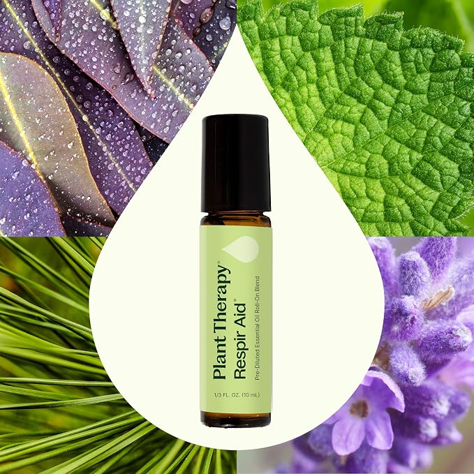 Plant Therapy Respir Aid Essential Oil Blend Pre-Diluted Roll-On 10 mL (1/3 oz) 100% Pure Essential Oils, Aromatherapy, Sinus Relief, Congestion Relief