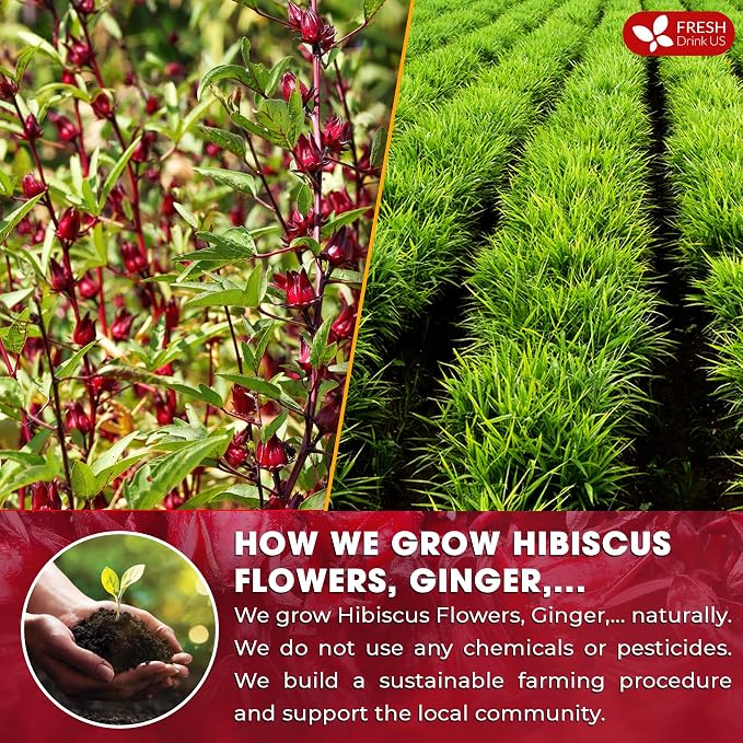 FreshDrinkUS, 60 Tea Bags Super Hibiscus Heart Blend– Herbal Tea with Hibiscus Flower, Ginger, Cinnamon Stick, Lemongrass & Rose Hip – Naturally Caffeine-Free, Sugar-Free, Vegan