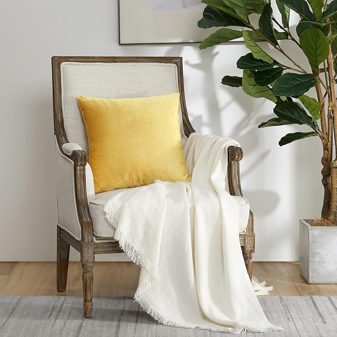 GIGIZAZA Yellow Velvet Pillow Covers 22x22 Decorative Pillows Pack of 2 | Throw Pillows for Couch Sofa,280gsm Soft Textured Fabric,Modern Square Pillowcases,Luxury Cushion Covers