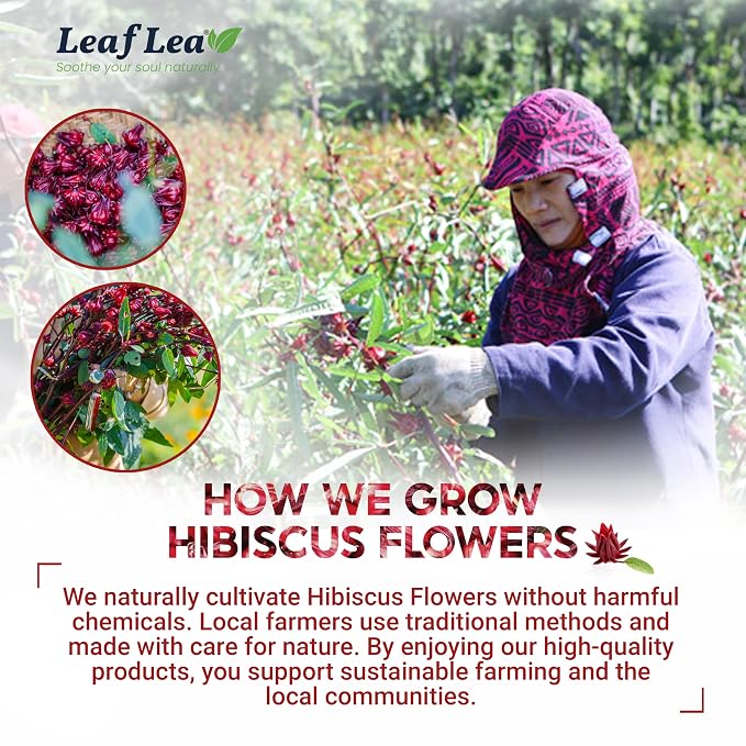 LeafLea 120 Hibiscus Tea Bags, Rich Flavor & Color, 120 Count | 100% Pure Natural Red Hibiscus Flower, Te De Hibisco, Caffeine-Free, Sugar-Free, Vegan, Non-GMO, Convenient 3 Pack