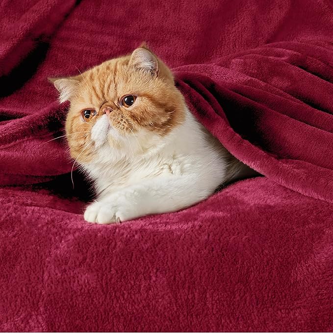 Flannel Fleece Luxury Blanket Red Queen(90"x90") Size Lightweight Cozy Plush Microfiber Solid Blanket by Bedsure