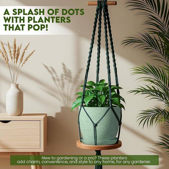Plant Pots Indoor with Drainage 10 Pack Multi-Size Planters Set Spotty Mint | Drainage holes included Multiple sizes 7/6.6/6/5.3/4.8 In Indoor plants and flowers Durable plastic construction
