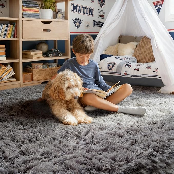 PAGISOFE Grey Area Rugs for Living Room Bedroom Rug 5x8 Rugs Soft Plush Fluffy Rug for Dorm Room Classroom Home Office Nursery Thick Indoor Carpet Fuzzy Modern Farmhouse Rugs Kids Playroom
