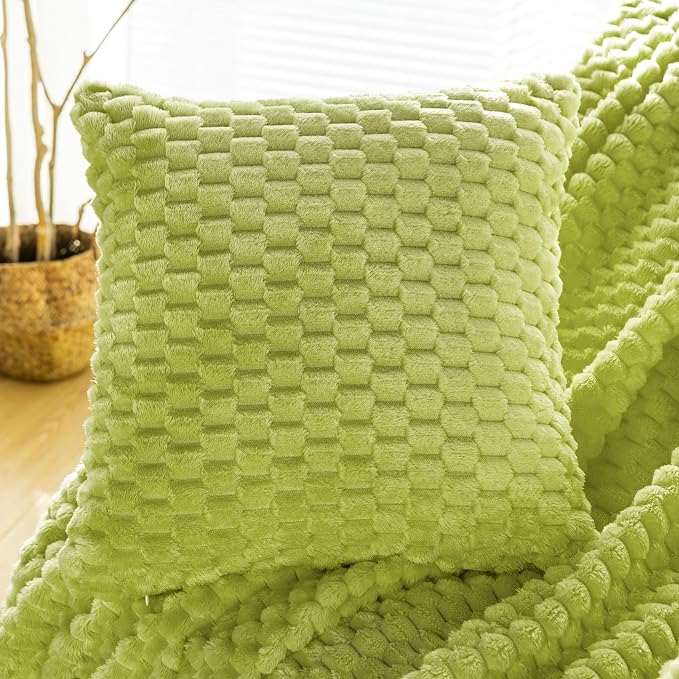 Bnuitland Flannel Throw Blanket, 300 GSM Fleece Cozy Warm Soft Home Decor Lightweight Bed Sofa Blanket for Adults, Suitable for All Seasons(Fruit Green,50X71 inches with Pillow Cover)